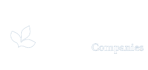 albertsons-safeway-logo