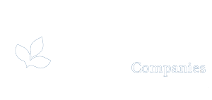 albertsons-safeway-logo